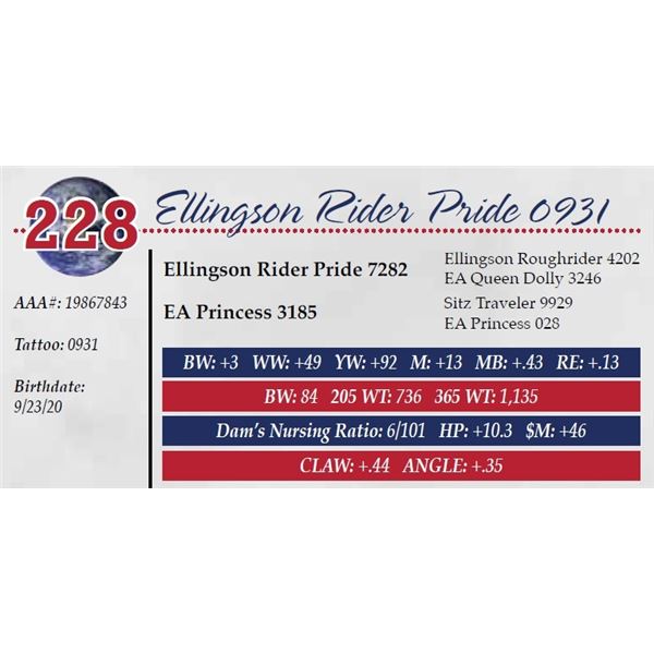 ELLINGSON RIDER PRIDE 0931