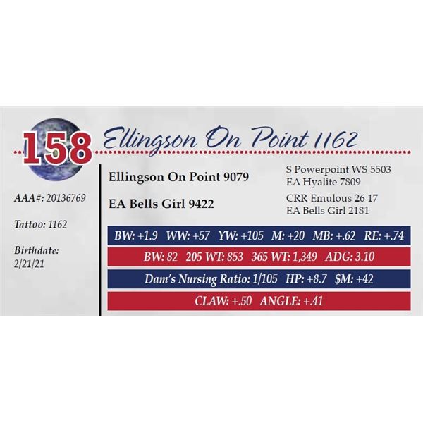 ELLINGSON ON POINT 1162