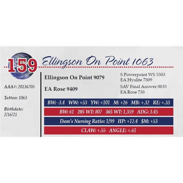 ELLINGSON ON POINT 1063