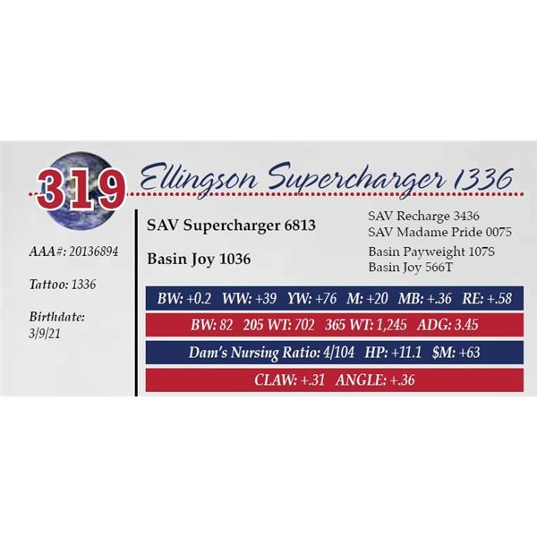 ELLINGSON SUPERCHARGER 1336