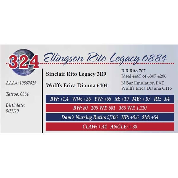 ELLINGSON RITO LEGACY 0884