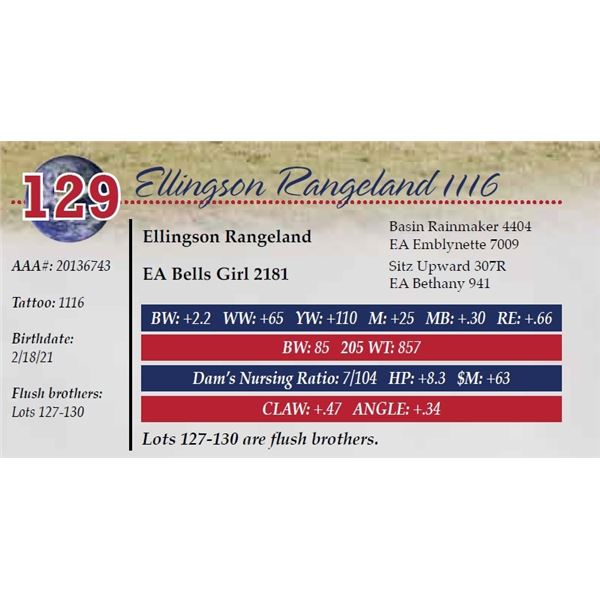 OUT OF SALE - ELLINGSON RANGELAND 1116