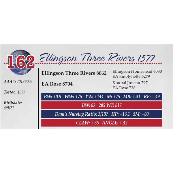 OUT OF SALE - ELLINGSON THREE RIVERS 1577