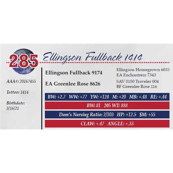 OUT OF SALE - ELLINGSON FULLBACK 1414