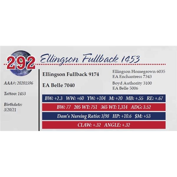 OUT OF SALE - ELLINGSON FULLBACK 1453