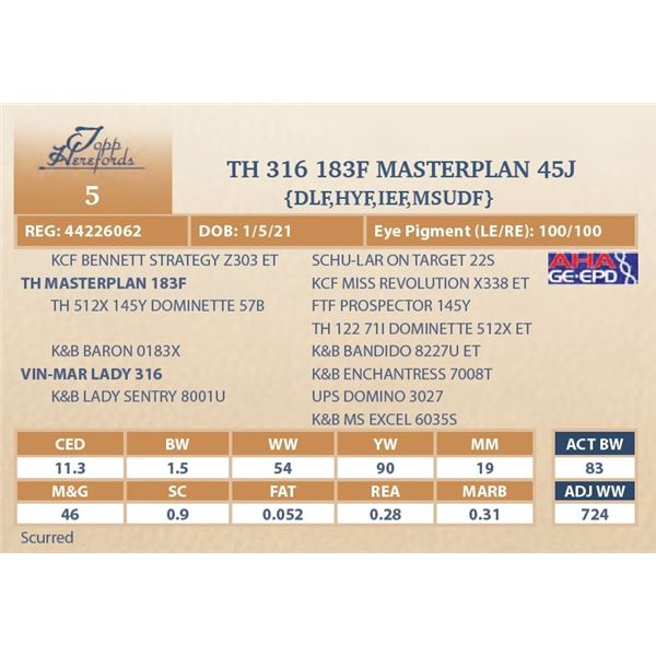 TH 316 183F MASTERPLAN 45J