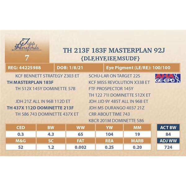 TH 213F 183F MASTERPLAN 92J