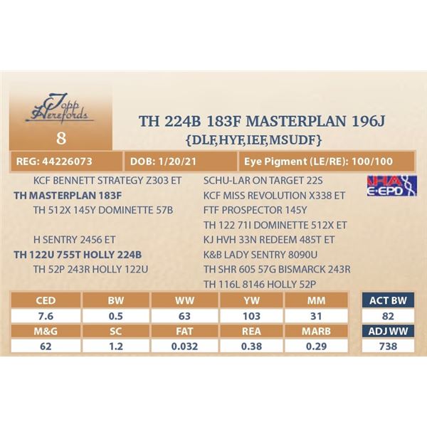 TH 224B 183F MASTERPLAN 196J