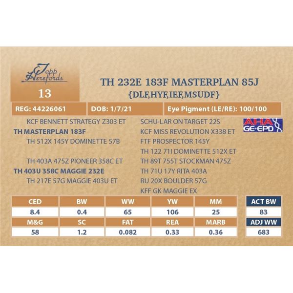 TH 232E 183F MASTERPLAN 85J