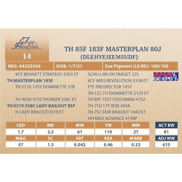 TH 85F 183F MASTERPLAN 80J