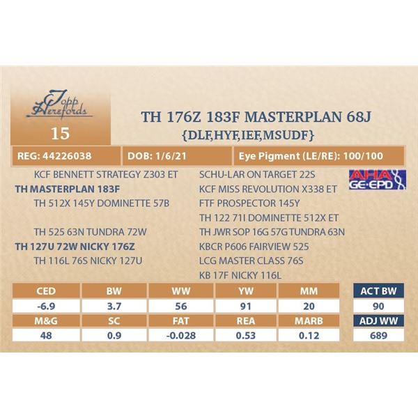 TH 176Z 183F MASTERPLAN 68J