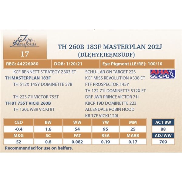 TH 260B 183F MASTERPLAN 202J