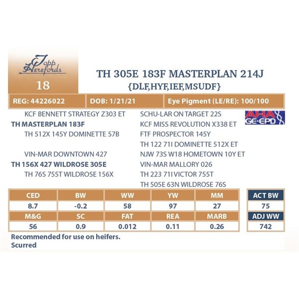 TH 305E 183F MASTERPLAN 214J