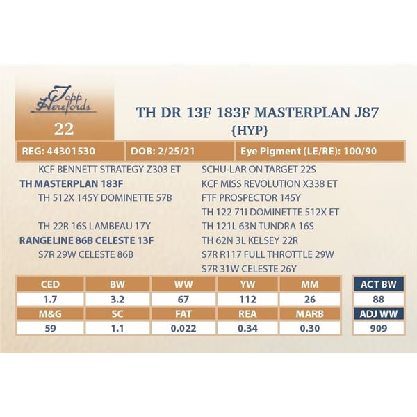 TH DR 13F 183F MASTERPLAN J87