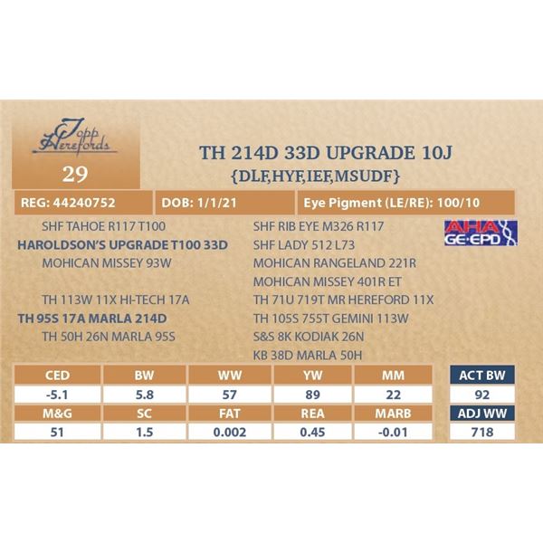 TH 214D 33D UPGRADE 10J