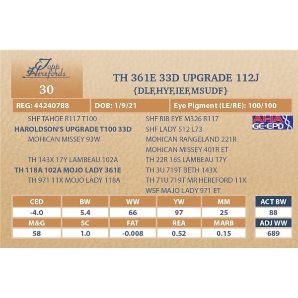 TH 361E 33D UPGRADE 112J