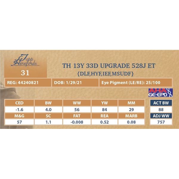 TH 13Y 33D UPGRADE 528J ET