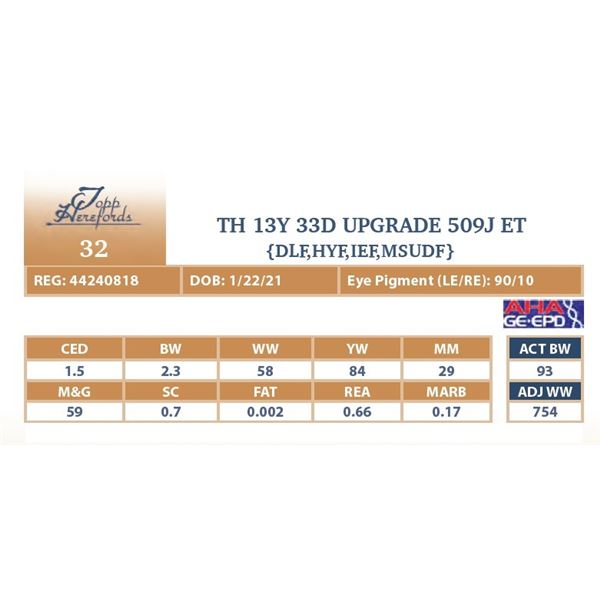 TH 13Y 33D UPGRADE 509J ET