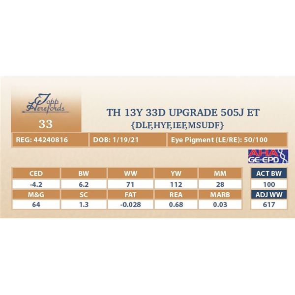 TH 13Y 33D UPGRADE 505J ET