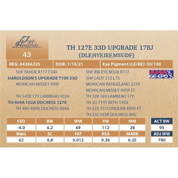 TH 127E 33D UPGRADE 178J