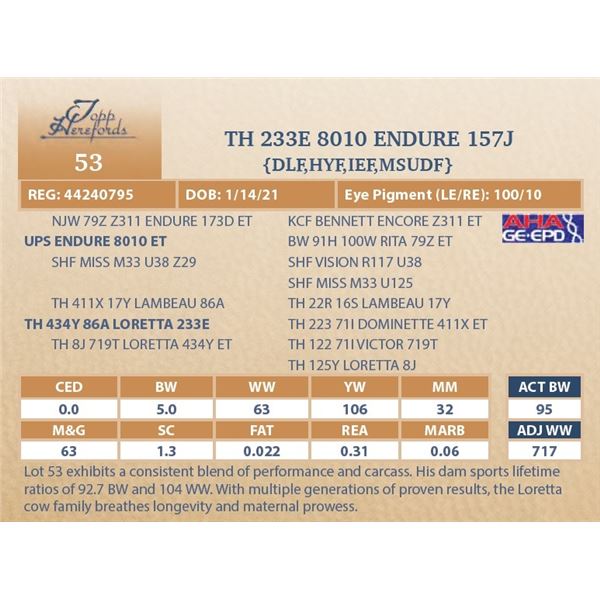 TH 233E 8010 ENDURE 157J