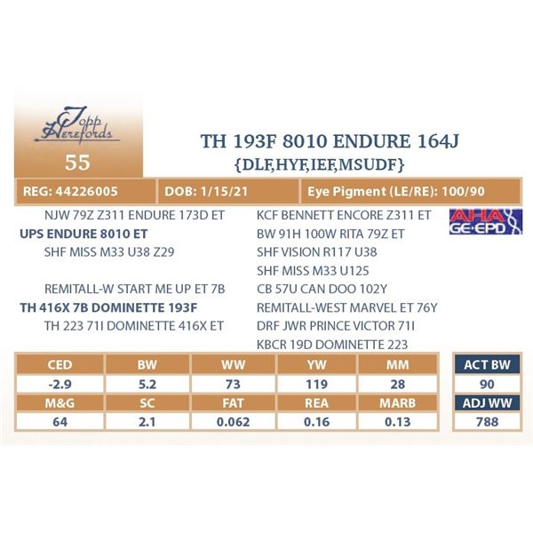 TH 193F 8010 ENDURE 164J