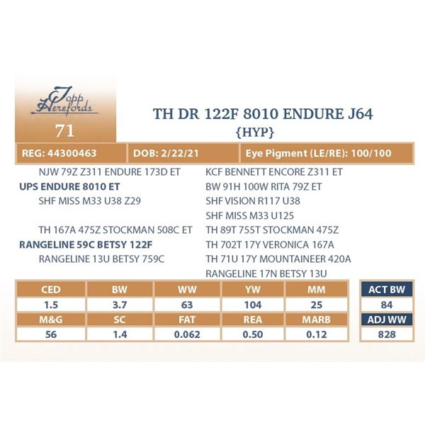 TH DR 122F 8010 ENDURE J64