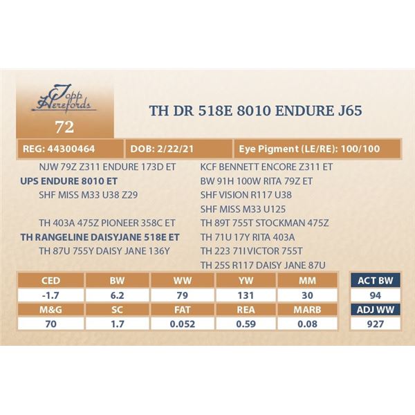 TH DR 518E 8010 ENDURE J65