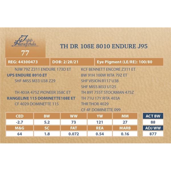 TH DR 108E 8010 ENDURE J95