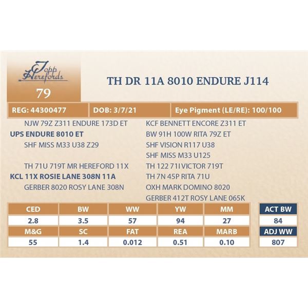 TH DR 11A 8010 ENDURE J114