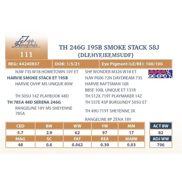 TH 246G 195B SMOKE STACK 58J
