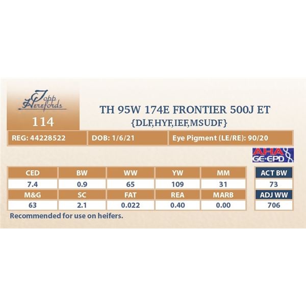 TH 95W 174E FRONTIER 500J ET