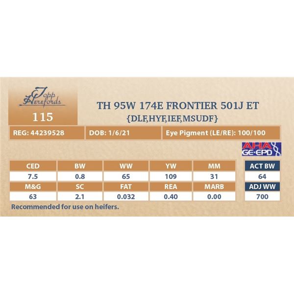 TH 95W 174E FRONTIER 501J ET