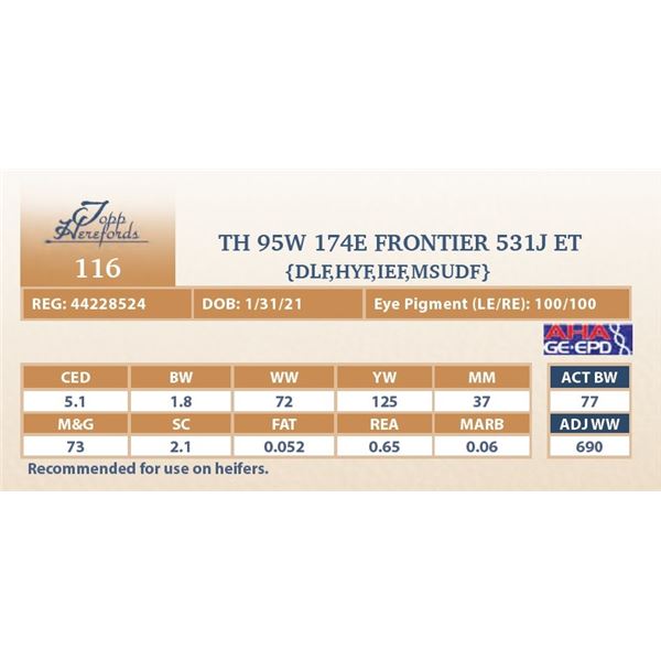 TH 95W 174E FRONTIER 531J ET