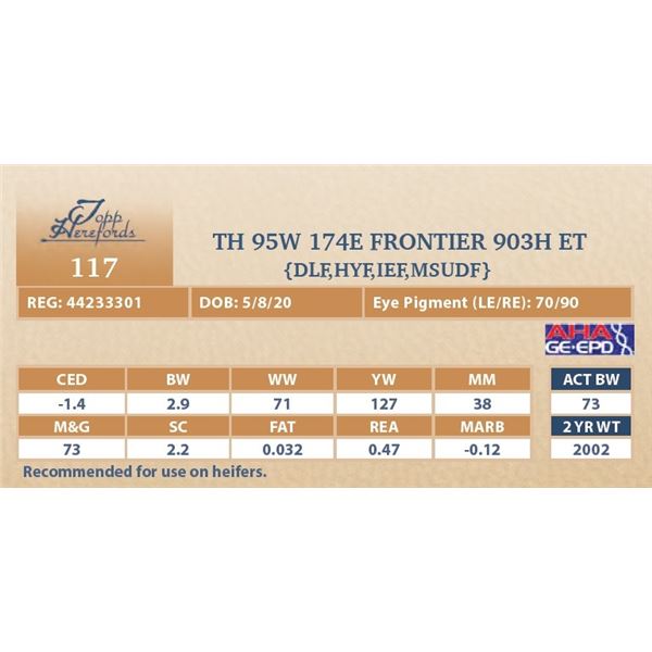 TH 95W 174E FRONTIER 903H ET