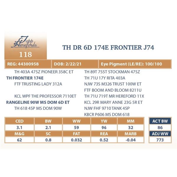 TH DR 6D 174E FRONTIER J74