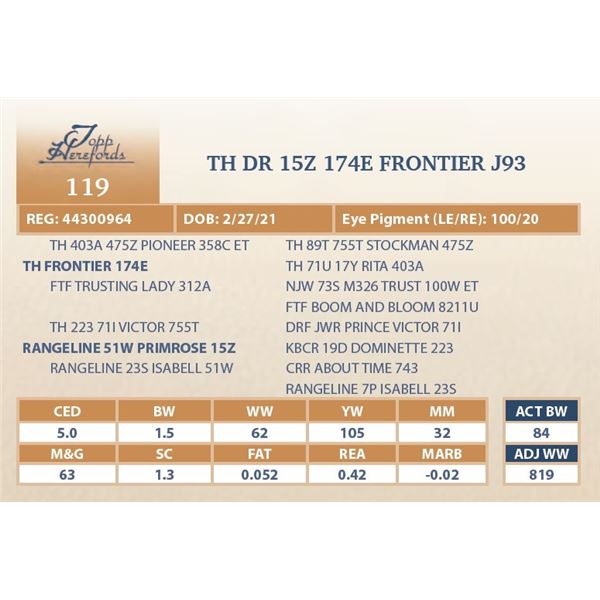 TH DR 15Z 174E FRONTIER J93