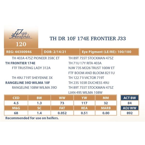 TH DR 10F 174E FRONTIER J33