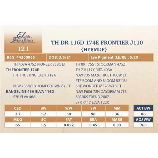 TH DR 116D 174E FRONTIER J110