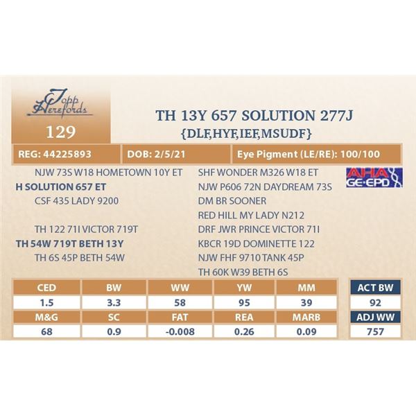 TH 13Y 657 SOLUTION 277J