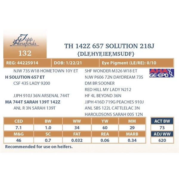 TH 142Z 657 SOLUTION 218J