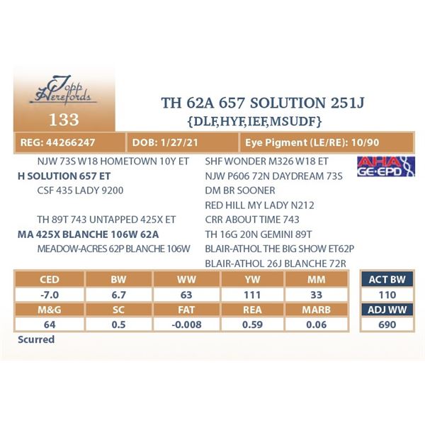 TH 62A 657 SOLUTION 251J