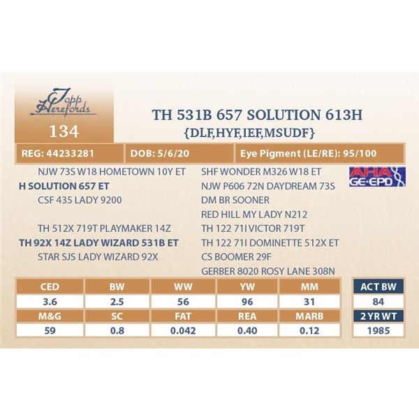 TH 531B 657 SOLUTION 613H