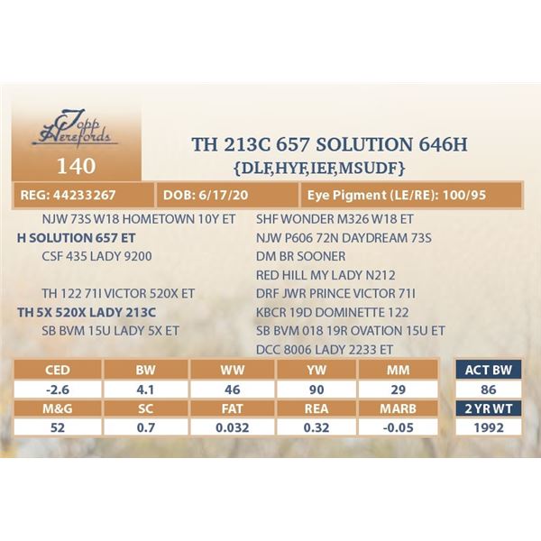 TH 213C 657 SOLUTION 646H