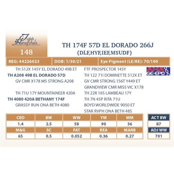 TH 174F 57D EL DORADO 266J