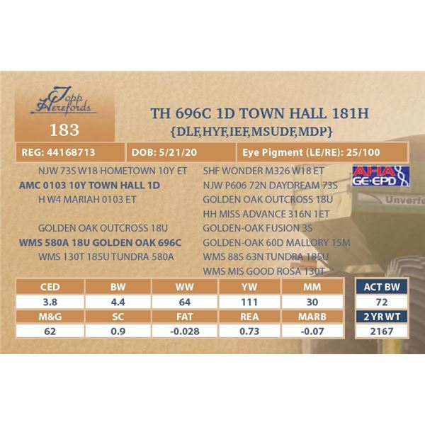 TH 696C 1D TOWN HALL 181H