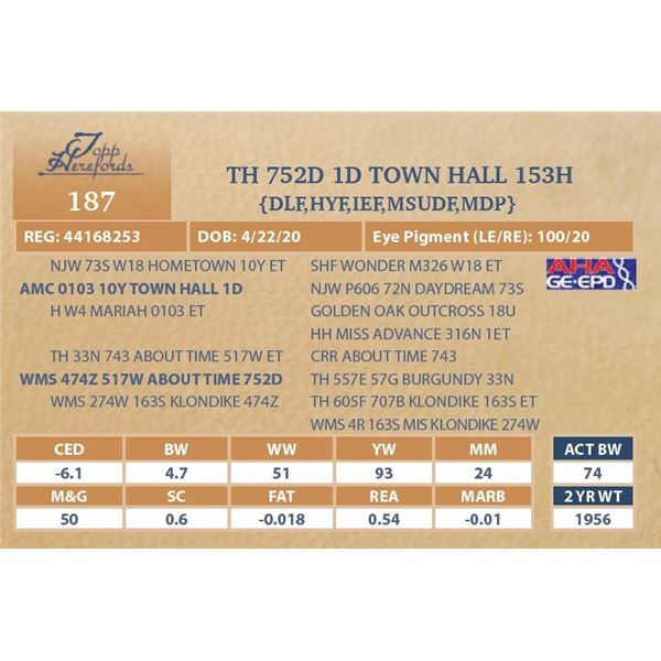 TH 752D 1D TOWN HALL 153H