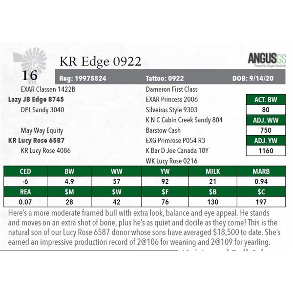 KR Edge 0922