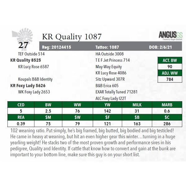 KR Quality 1087