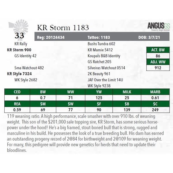 KR Storm 1183